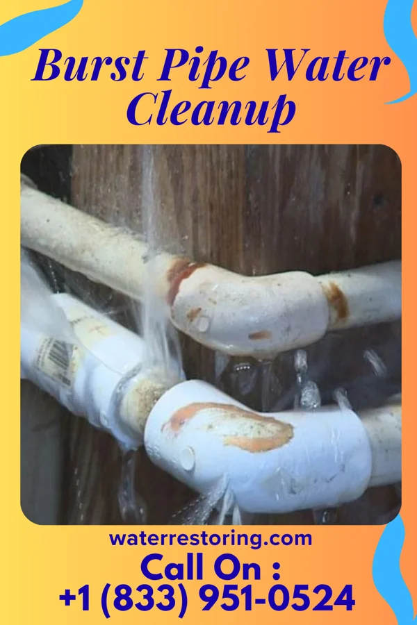 Burst Pipe Water Cleanup in Kensington, MN
