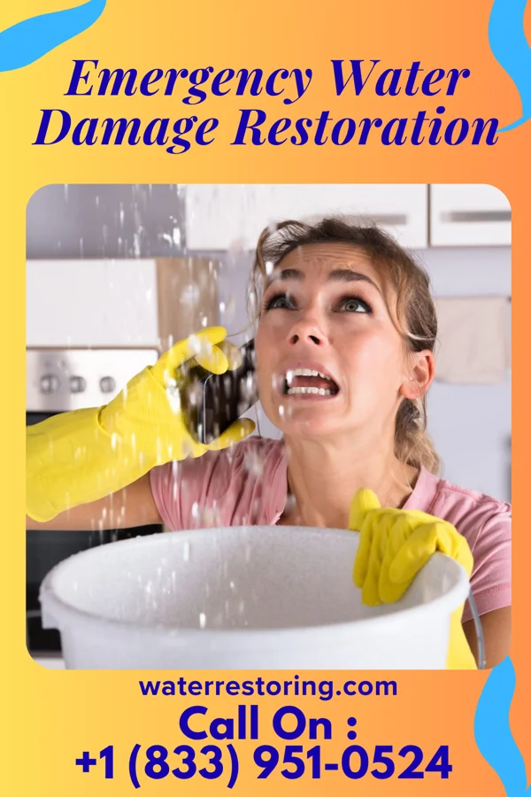 Emergency Water Damage Restoration in Kensington, MN