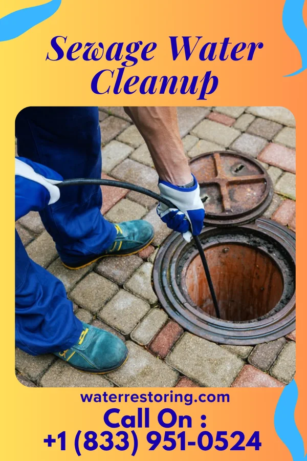 Sewage Water Cleanup in Kensington, MN